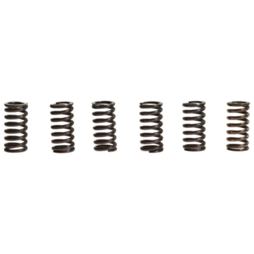 Kupplungsfedern verstärkt TRW Inhalt 6 Stück passend für: Suzuki DR, DR - Z, EN