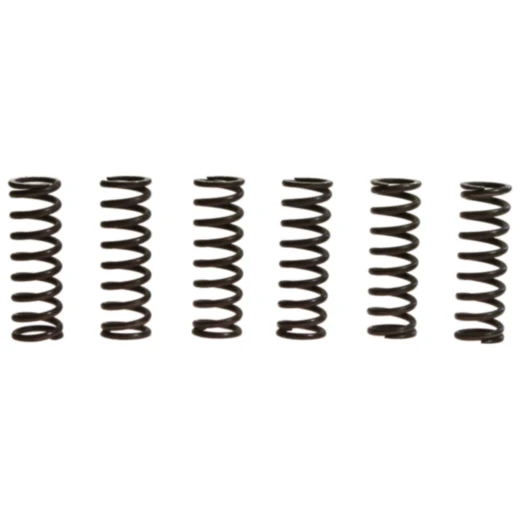 Kupplungsfedern verstärkt TRW Inhalt 6 Stück passend für: Yamaha YFM