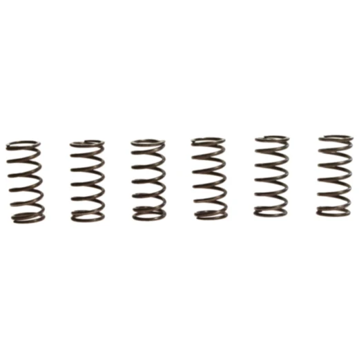 Kupplungsfedern verstärkt TRW Inhalt 6 Stück passend für: Kawasaki ZRX, ZR, ZX - 9R