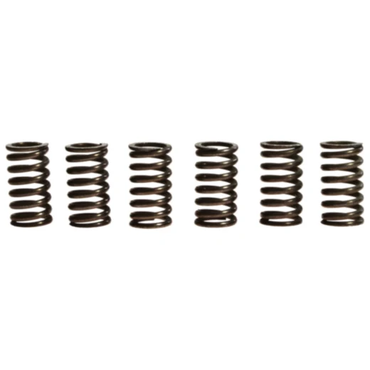 Kupplungsfedern verstärkt TRW Inhalt 6 Stück passend für: Honda CX, CG, NX, XR