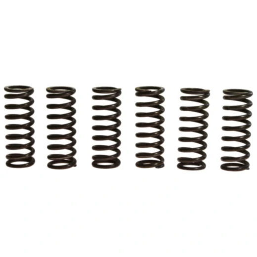 Kupplungsfedern verstärkt TRW Inhalt 6 Stück Alternative: 7450561 passend für: Honda CBR, CB