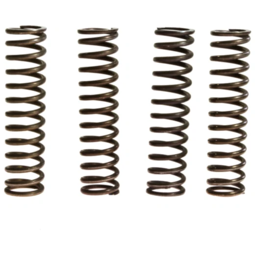 Kupplungsfedern verstärkt TRW Inhalt 4 Stück Alternative: 7450826 passend für: Kawasaki Z, ZX - 6R, VN