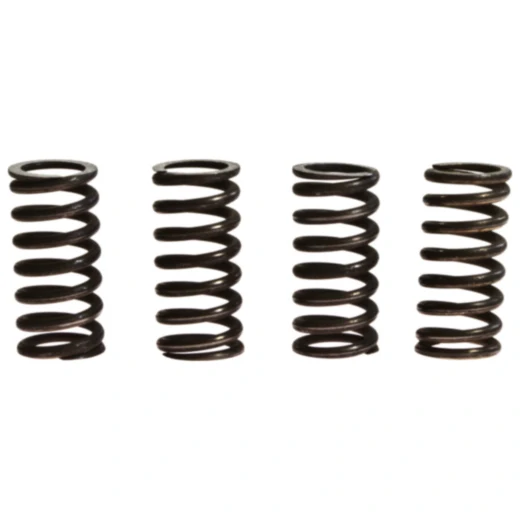 Kupplungsfedern verstärkt TRW Inhalt 4 Stück passend für: Honda CB, CBR