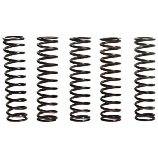 Kupplungsfedern verstärkt TRW Inhalt 5 Stück Alternative: 7450083 passend für: Kawasaki Z, ZX - 9R