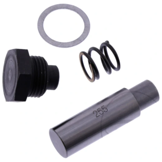 Steuerkettenspanner Satz Originalersatzteil passend für: BMW F (800, 650, 700)