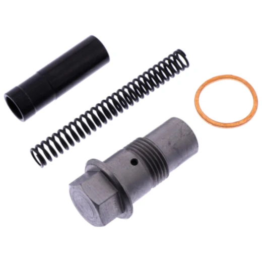 Steuerkettenspanner Satz Originalersatzteil passend für: BMW R