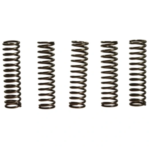 Kupplungsfedern verstärkt EBC Inhalt 5 Stück Alternative: 7389232 passend für: Kawasaki Z, ZX - 9R