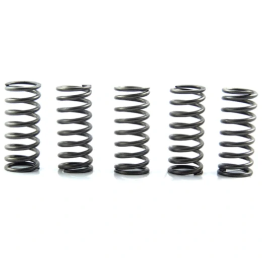 Kupplungsfedern verstärkt EBC Inhalt 5 Stück passend für: Honda VTR, XL