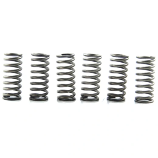 EBC Verstärkte Kupplungsfedern (6 Stück)