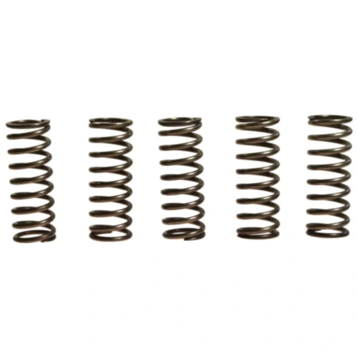 Kupplungsfedern verstärkt EBC für Motorräder 7450208