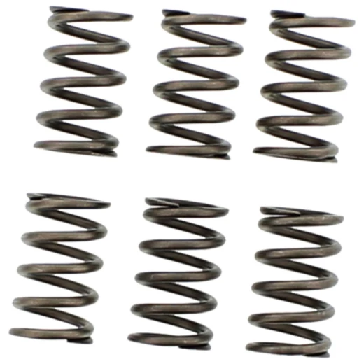 EBC verstärkte Kupplungsfedern Set 6 Stück