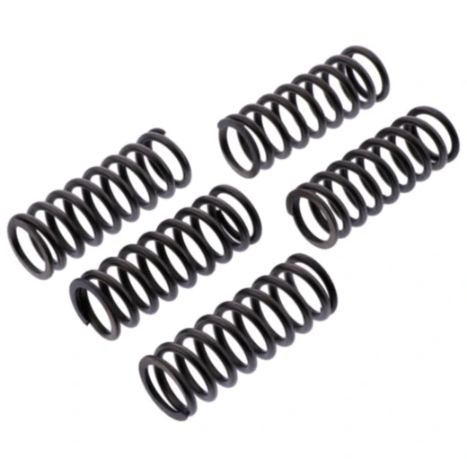 Kupplungsfedern verstärkt EBC Inhalt 5 Stück Alternative: 7389075 passend für: Honda CBR