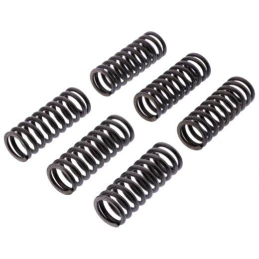 Kupplungsfedern verstärkt EBC Inhalt 6 Stück passend für: Honda CRF 7450731