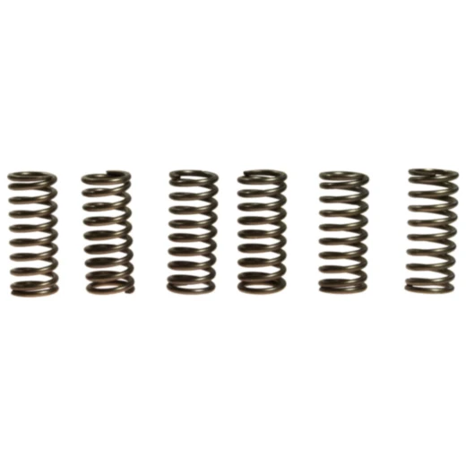 Kupplungsfedern verstärkt EBC Inhalt 6 Stück passend für: Gas Gas EC, HP, SM
