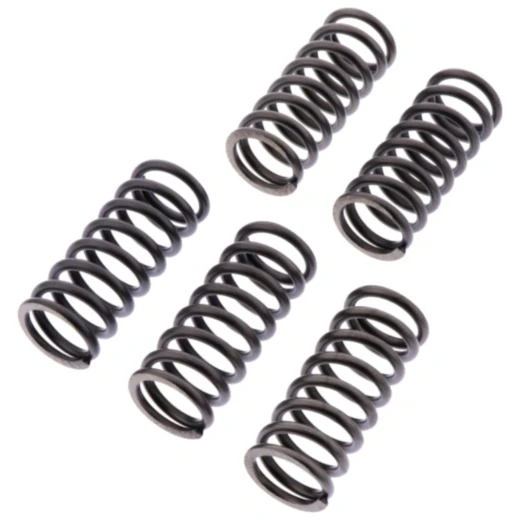 Kupplungsfedern verstärkt EBC Inhalt 6 Stück passend für: Honda CB, CBR