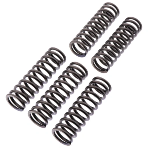 Kupplungsfedern verstärkt EBC für Motorräder 7450815