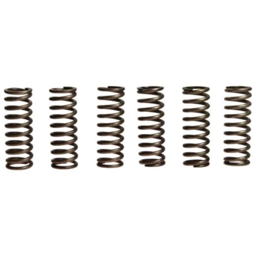Kupplungsfedern verstärkt EBC Inhalt 6 Stück passend für: Honda CBF, VT, VTX