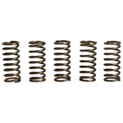 Kupplungsfedern verstärkt EBC Inhalt 5 Stück passend für: Honda XL