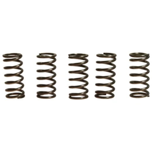 Kupplungsfedern verstärkt EBC Inhalt 5 Stück passend für: Honda CRF, CR
