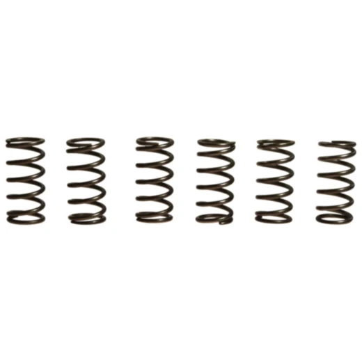 Kupplungsfedern verstärkt EBC Inhalt 6 Stück passend für: Kawasaki ZX - 6R
