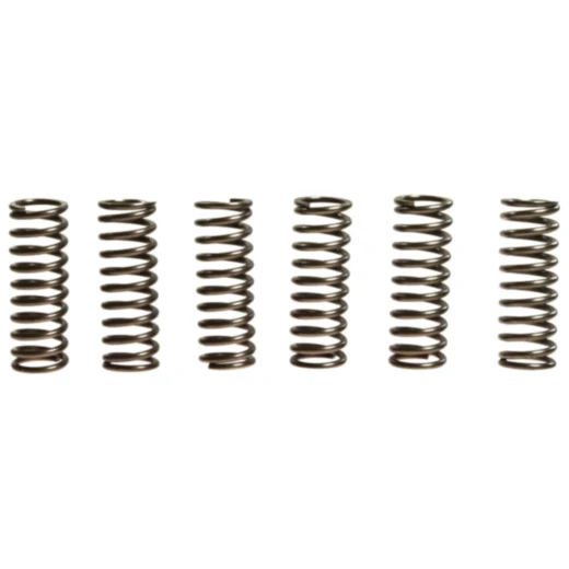 Kupplungsfedern verstärkt EBC Inhalt 6 Stück passend für: Honda CRF