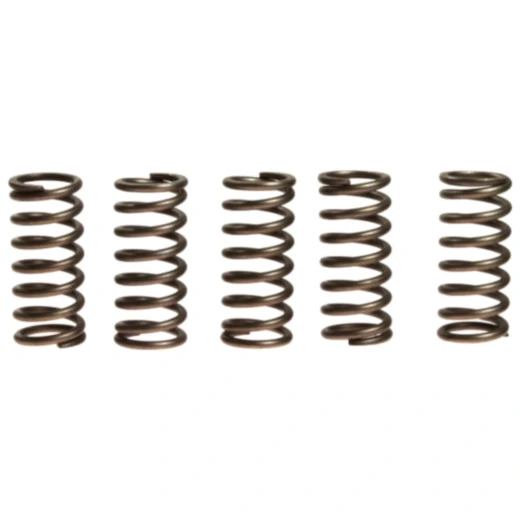 Kupplungsfedern verstärkt EBC Inhalt 5 Stück passend für: Triumph Street Triple, Tiger, Daytona