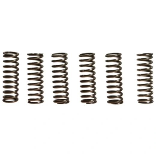 Kupplungsfedern verstärkt EBC Inhalt 6 Stück passend für: Yamaha YFZ
