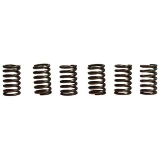 Kupplungsfedern verstärkt EBC Inhalt 6 Stück passend für: Husqvarna Enduro, Vitpilen, Svartpilen