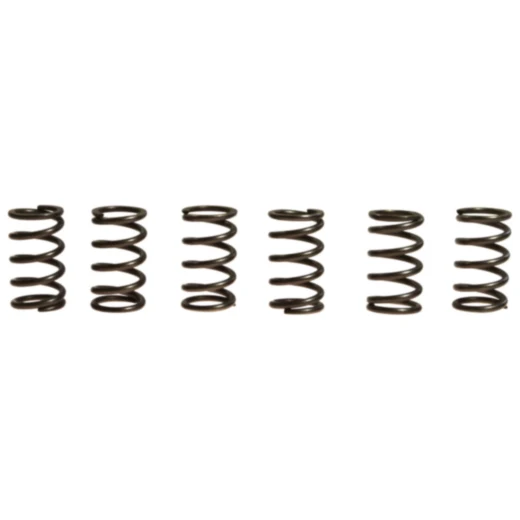 Kupplungsfedern verstärkt für Motorräder EBC