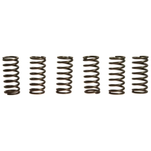 Kupplungsfedern verstärkt EBC Inhalt 6 Stück passend für: Aprilia RSV, ETV, SL