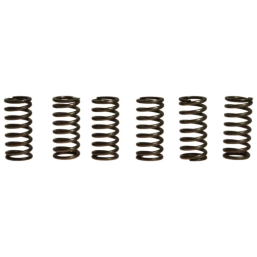 Kupplungsfedern verstärkt EBC Kit für Motorräder