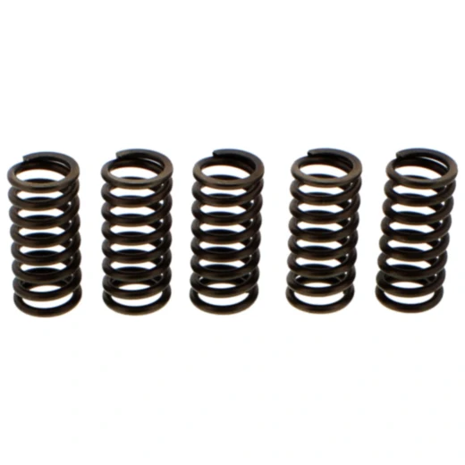 Verstärkte Kupplungsfedern EBC