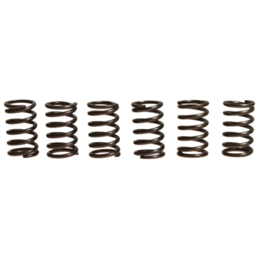 Kupplungsfedern verstärkt EBC Inhalt 6 Stück passend für: Kawasaki GTR, ZZR, ZRX