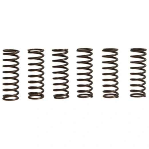 Kupplungsfedern verstärkt EBC Inhalt 6 Stück passend für: Kawasaki ZZR, KLV
