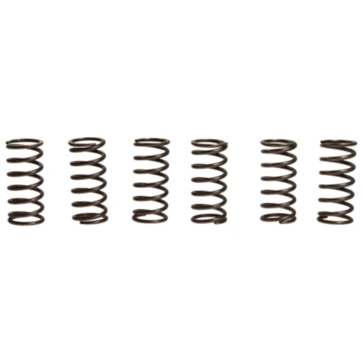 Kupplungsfedern verstärkt EBC Inhalt 6 Stück passend für: Kawasaki ZRX, ZX - 7RR, ZR