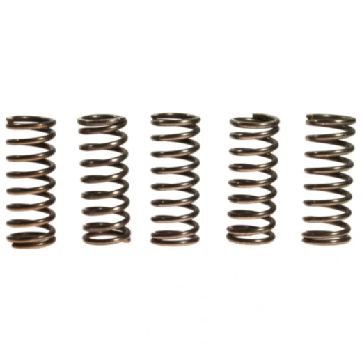 Kupplungsfedern verstärkt EBC Inhalt 5 Stück passend für: Honda CB, CBR