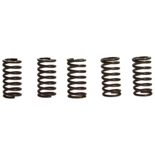 Kupplungsfedern verstärkt EBC Inhalt 5 Stück passend für: Honda NX, XR, XL