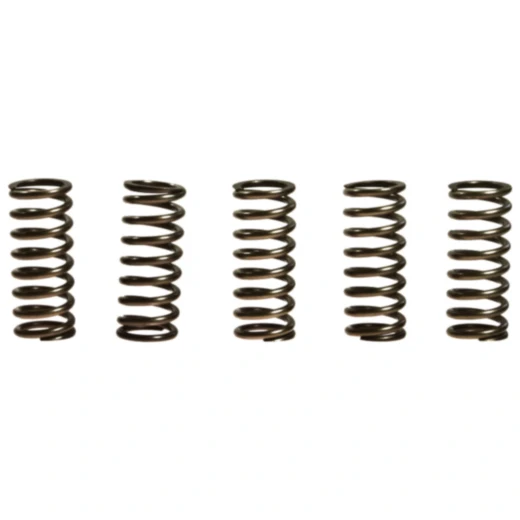 Kupplungsfedern verstärkt EBC Inhalt 5 Stück passend für: Honda CBF, VFR, CB