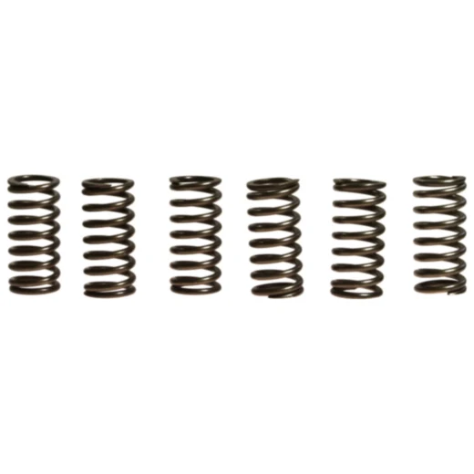 Kupplungsfedern verstärkt EBC Inhalt 6 Stück passend für: Kawasaki ZX - 10R, Z, ZX - 10RR