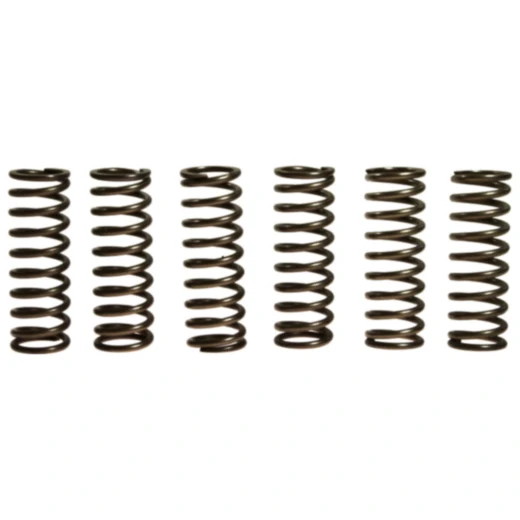 Kupplungsfedern verstärkt EBC für Motorräder 7459720