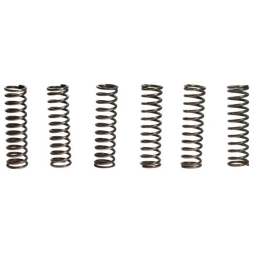 Kupplungsfedern verstärkt EBC Inhalt 6 Stück passend für: Kawasaki ZX - 12R