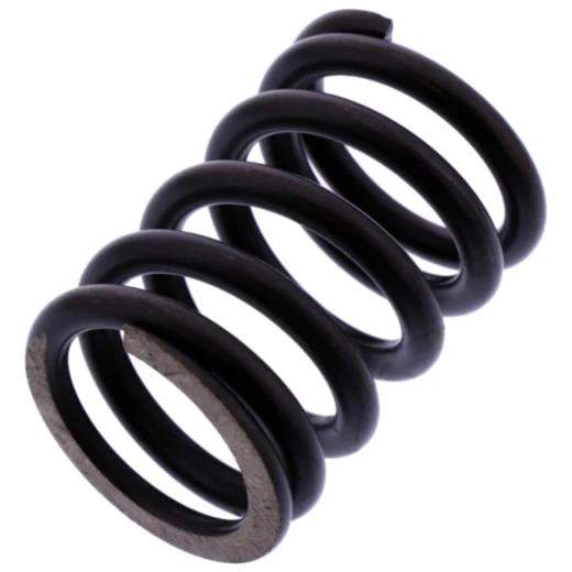 Ventil Feder Siebenrock passend für: BMW R