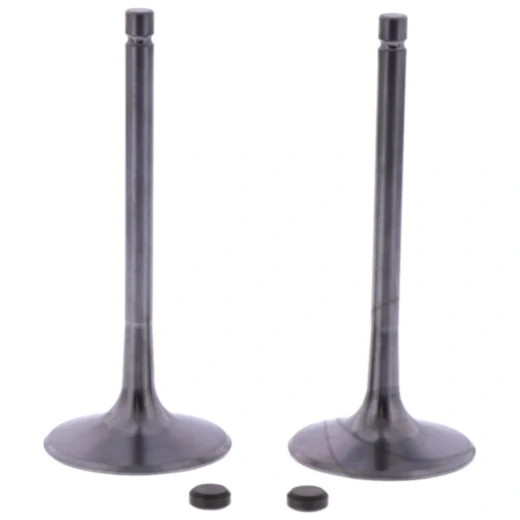 Einlassventil Satz Originalersatzteil passend für: BMW G