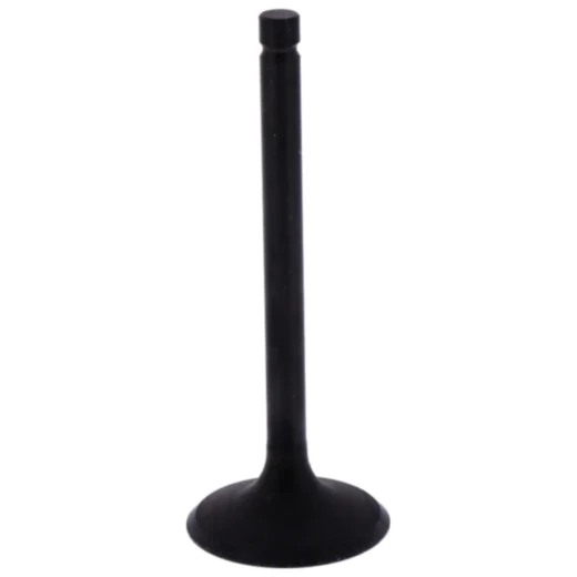 Einlassventil für Motorräder