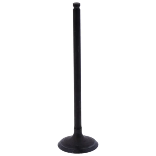 Auslassventil für Motorräder 7471642