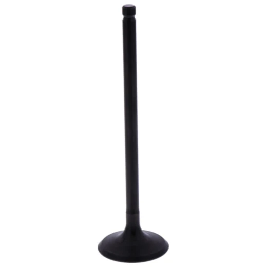 Einlassventil für Motorräder 7471673