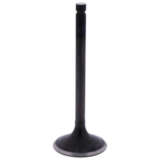 Einlassventil OE Ersatzteil 7471702