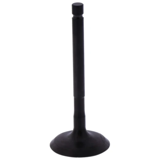 Einlassventil für Motorräder 7471726