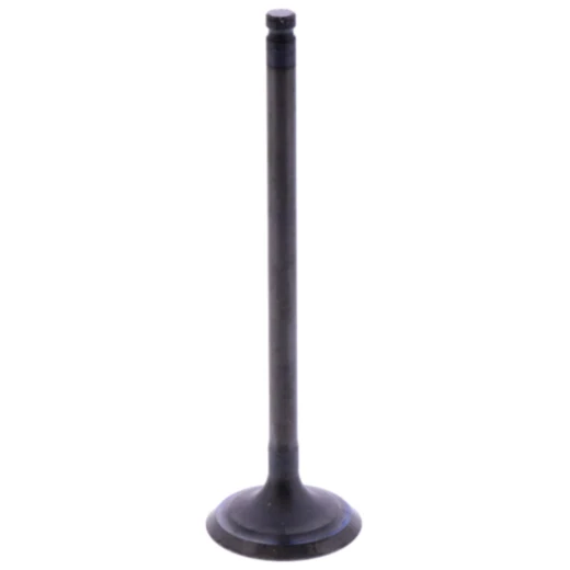 Auslassventil Originalersatzteil passend für: Beta Alp 4. 0, M4, Euro