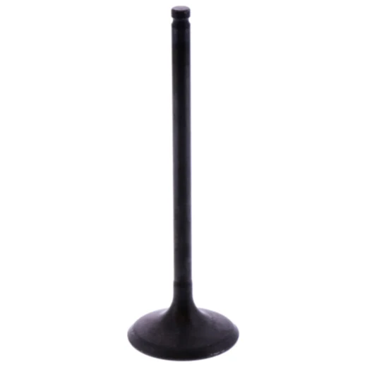 Einlassventil Originalersatzteil passend für: Beta Alp 4. 0